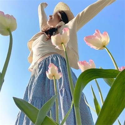 一碌蔗